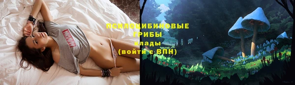 ешки Алексин