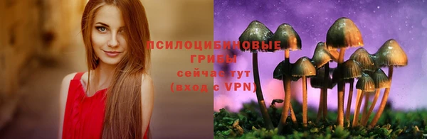 ешки Алексин
