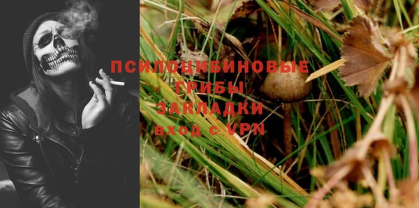 ешки Алексин