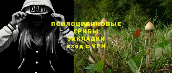 тгк Алзамай