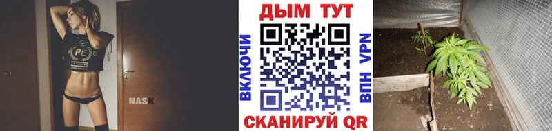 Марихуана семена  наркошоп  Богданович 